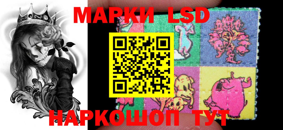 Сегежа  Марки 25I-NBOMe 1500мкг  Вход с VPN  Марки 25I-NBOMe 1500мкг 