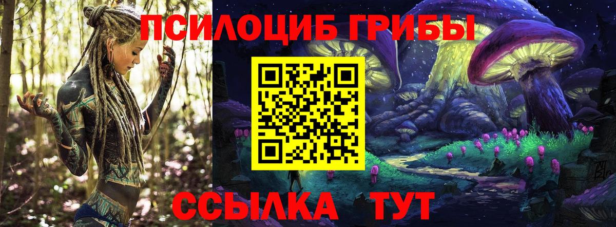 Псилоцибиновые грибы MAGIC MUSHROOMS  Псилоцибиновые грибы GOLDEN TEACHER  Вход с VPN  Сегежа 